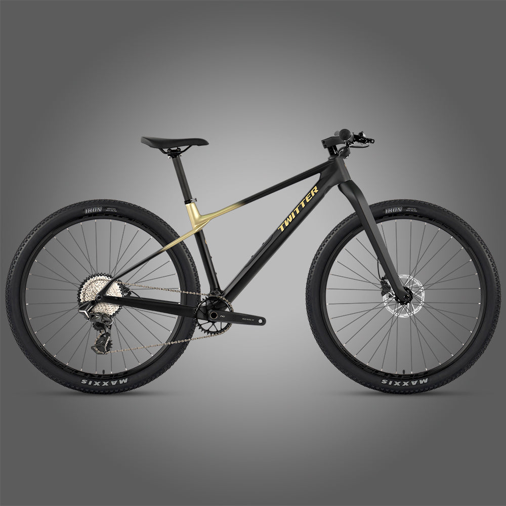 M10 - Twitter Carbon Mountain Bike