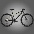 M10 - Twitter Carbon Mountain Bike
